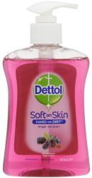 dettol main baie dhiver 